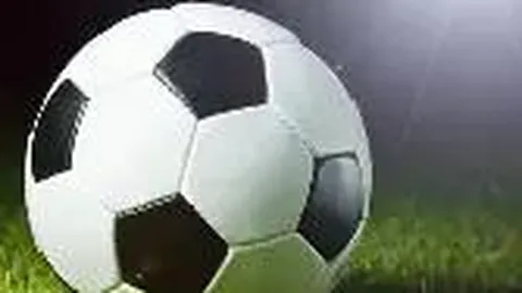 杏彩娱乐 产品 103311 nho