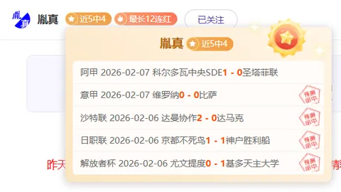 匡琦与赵勇：年轻活力助力，卓越领导力成就斐然